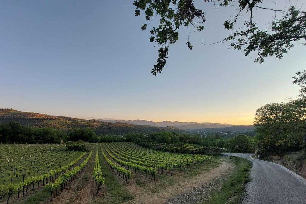 Vue De Rennes-Le-Chateau Couiza Zewnętrze zdjęcie