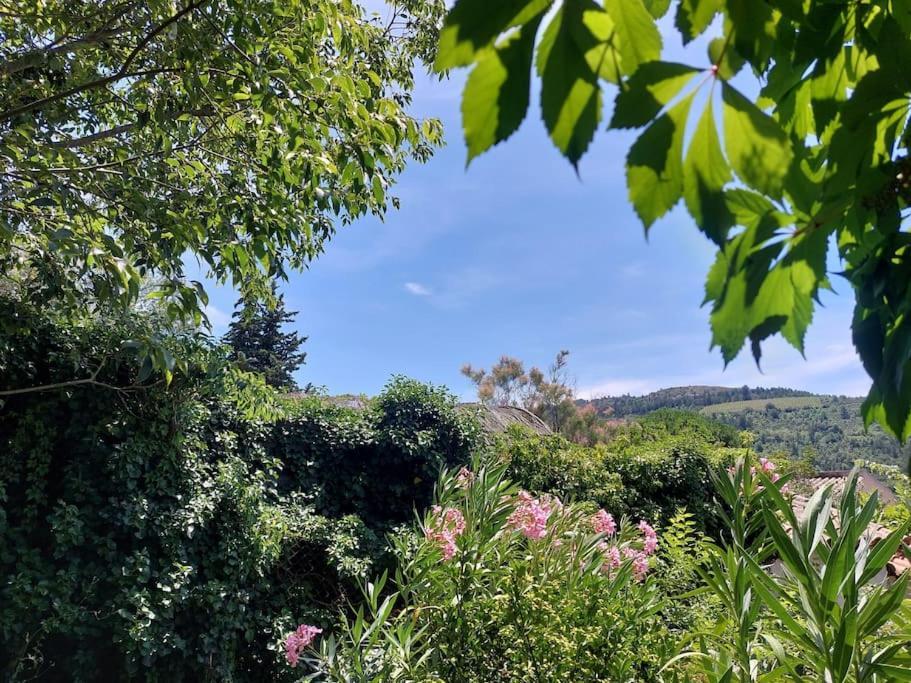 Vue De Rennes-Le-Chateau Couiza Zewnętrze zdjęcie