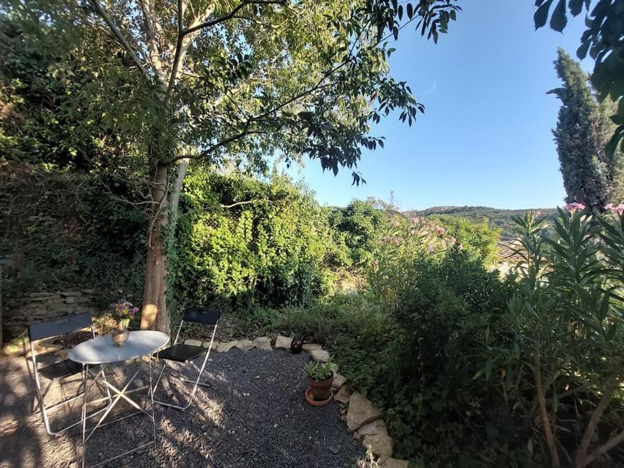 Vue De Rennes-Le-Chateau Couiza Zewnętrze zdjęcie